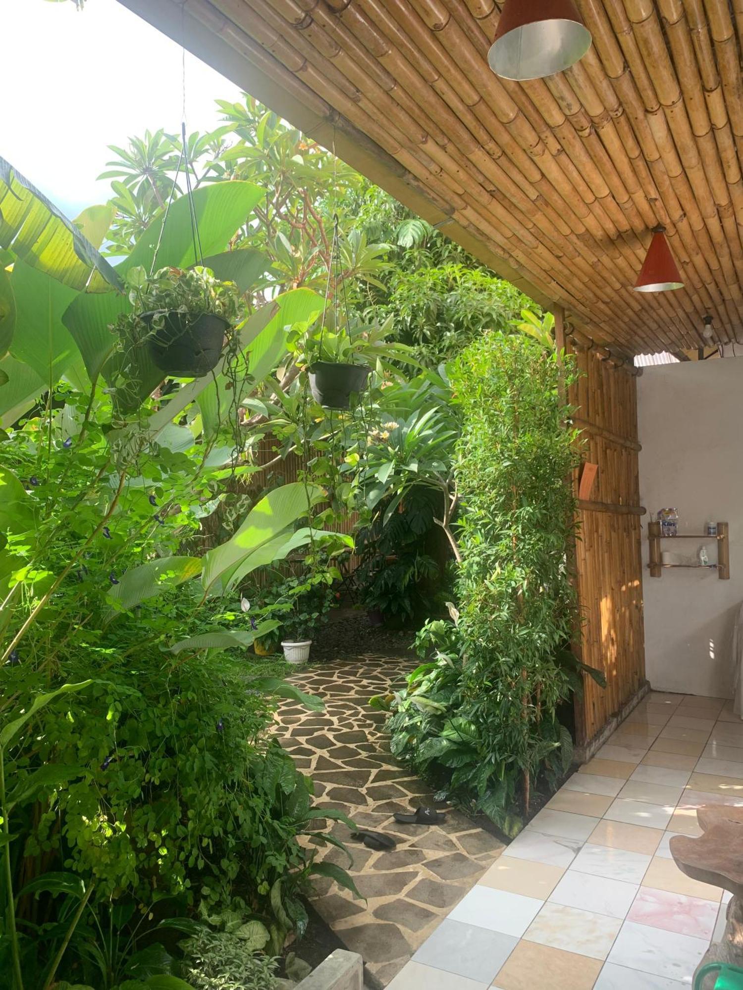 ViaVia Guesthouse Yogyakarta Eksteriør billede